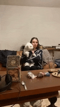 accesscrew dog toby tobi eugenie GIF