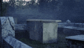lucio fulci grave GIF by Maudit