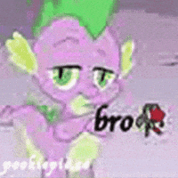 pookiepie_co meme dragon bro mlp GIF