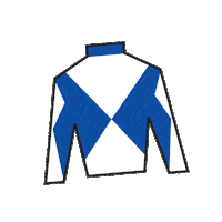 Horse Racing Sticker by Kentucky Derby