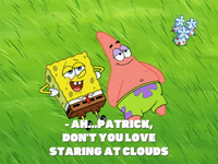 season 8 episode 10 GIF by SpongeBob SquarePants