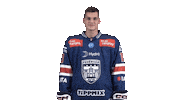 Celebration Goal Sticker by Fehervar AV19
