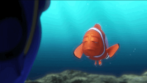 finding dory GIF by Disney/Pixar's Finding Dory