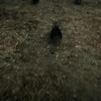 strangerthings strangerthings strangerthings3 GIF