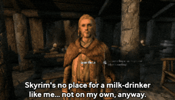Elder Scrolls Npc GIF by Fire Mountain Productions