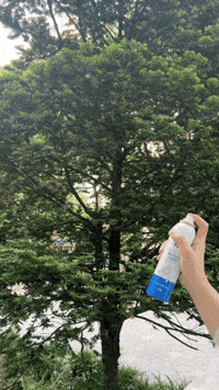 lifeholic korea spray deodorant k-beauty GIF