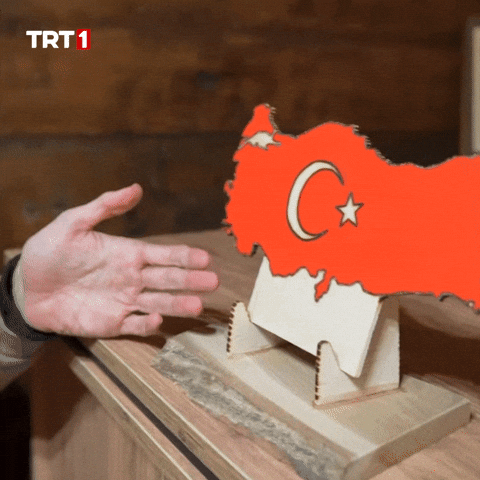 Turkey Turkish GIF by TRT