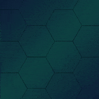 Animation Fingerprinting GIF by SelfID