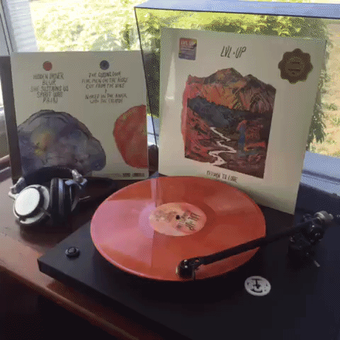 loseredition GIF by Sub Pop Records