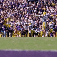Death Valley Win GIF by LSU Tigers