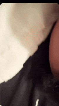 Bobby Lee Asian Dad GIF