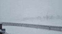 'Blinding Snowstorm' Hits Icelandic Capital