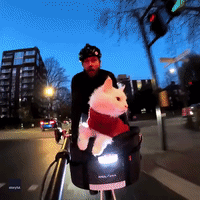 Feline Free: London Cyclist Takes Cat for a Ride