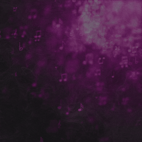 Crypto Feeling GIF by Bump-fm