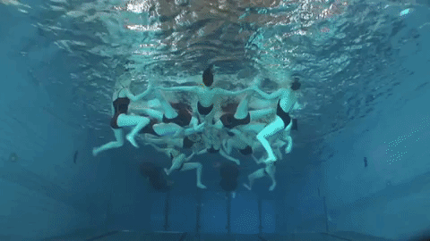 performance GIF