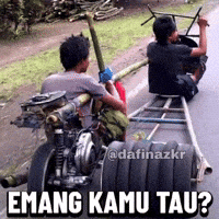 Dafinazkr GIF