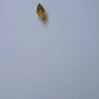 Loop GIF by Thoka Maer