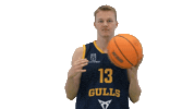 Basketball Hoops Sticker by Basket_fi