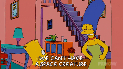 Episode 5 GIF by The Simpsons