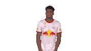 Rbs No Sticker by FC Red Bull Salzburg