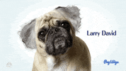 larry david snl GIF by Saturday Night Live