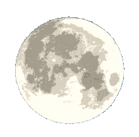 Space World Sticker