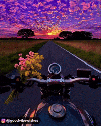 Driving Road Trip GIF