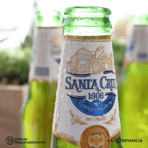 SantaCruz1906 giphyupload beer bottle cerveza GIF