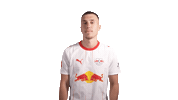 Red Bull Ice Sticker by RB Leipzig