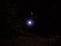 Season 2 Episode 22 GIF by Twin Peaks on Showtime