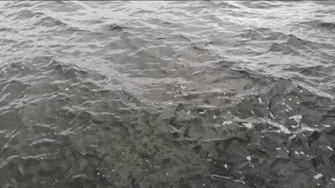 water waves GIF by IntelligentMobiles GmbH