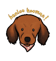 Dog Micin Sticker