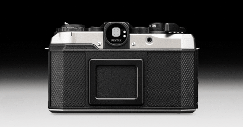 jadedlin giphyupload GIF