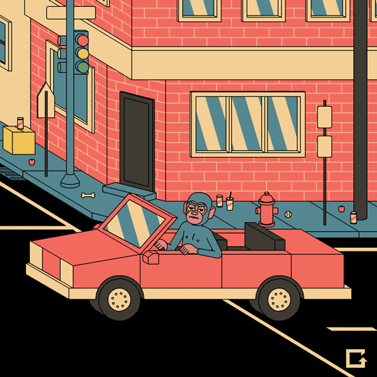 new york chimpanzees GIF by gifnews