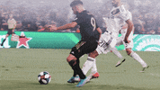 GIF by LAFC