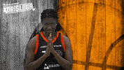 Sport Basketball GIF by Basket_fi
