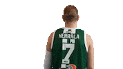 Basketball Hoops Sticker by Basket_fi