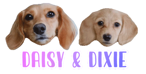 Dog Sticker