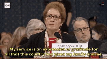news impeachment impeachment inquiry impeachment hearings day two marie yovanovitch GIF
