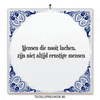 Humor Wijsheid GIF by Tegelspreuken.nl