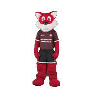 Celebrate Euro 2024 Sticker by UBS Schweiz