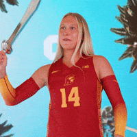 Fighton Wvb GIF by USC Trojans