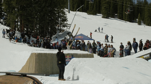 ski fail GIF by Red Bull