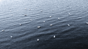 relaxed water is life GIF by cloudy