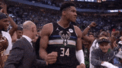 Nba Playoffs Sport GIF by NBA