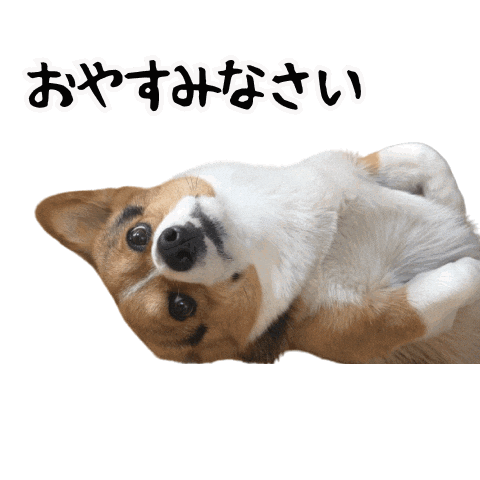 Corgi おやすみなさい Sticker
