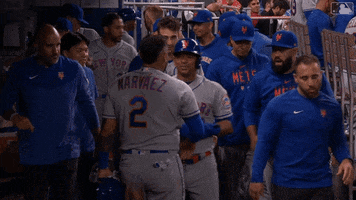 Celebrate Major League Baseball GIF by New York Mets
