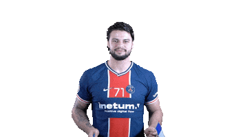 Happy France Sticker by Paris Saint-Germain Handball