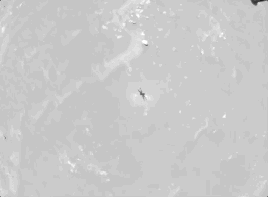 GIF by Mashable