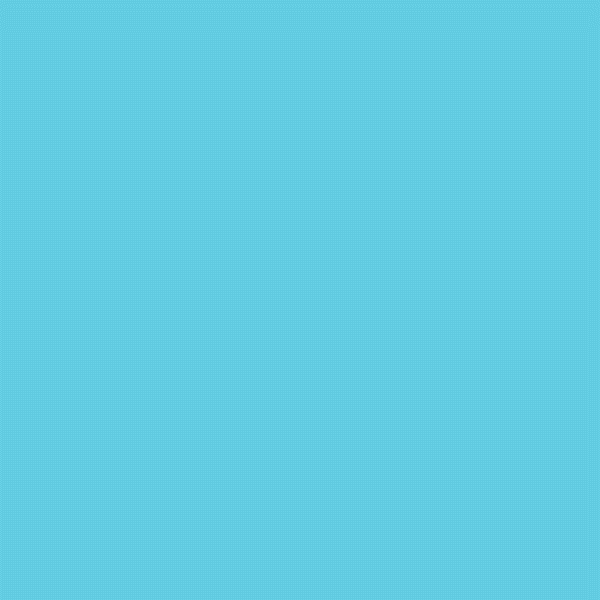 Millmotion animation food design fish GIF